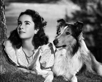 elizabeth liz taylor