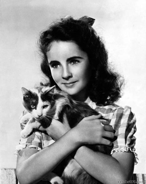 elizabeth liz taylor