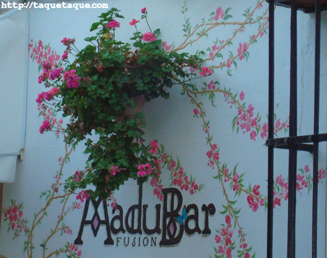 flores y mariposas pintadas en la fachada de la terraza del MaduBar Fusion, en Estepona (Málaga) flores y mariposas pintadas en la fachada de la terraza del MaduBar Fusion, en Estepona (Málaga)