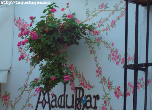 flores y mariposas pintadas en la fachada de la terraza del MaduBar Fusion, en Estepona (Málaga) flores y mariposas pintadas en la fachada de la terraza del MaduBar Fusion, en Estepona (Málaga)