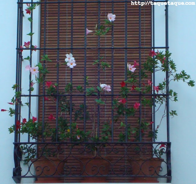 reja típicamente andaluza en Estepona (Málaga) reja típicamente andaluza en Estepona (Málaga)