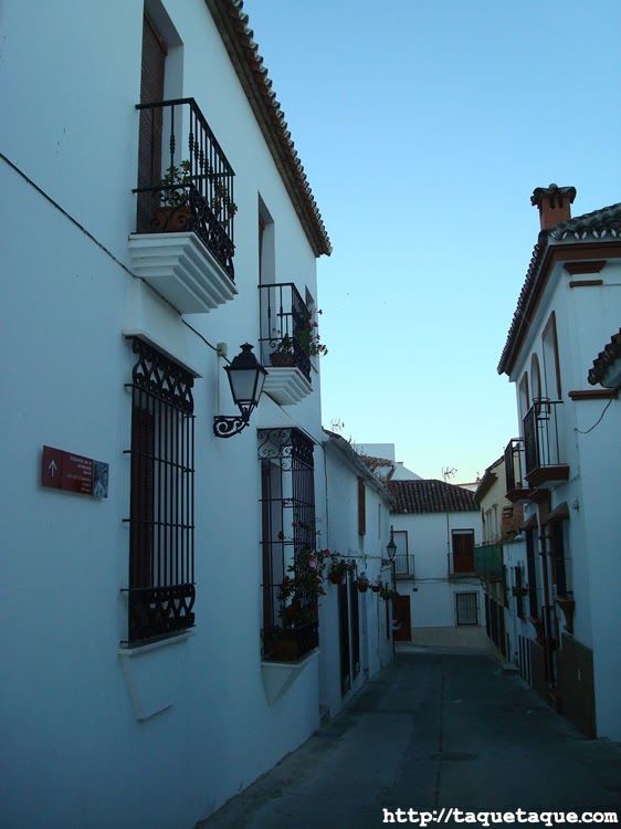 reja típicamente andaluza en Estepona (Málaga) reja típicamente andaluza en Estepona (Málaga)