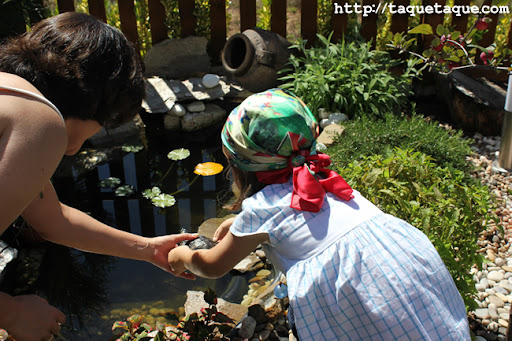 Rosi y Paola soltando las tortugas en el estanque de su jardín (Santiago de Compostela) Rosi y Paola soltando las tortugas en el estanque de su jardín (Santiago de Compostela)