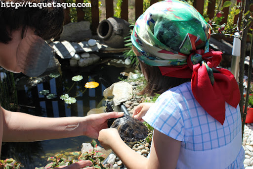 Rosi y Paola soltando las tortugas en el estanque de su jardín (Santiago de Compostela) Rosi y Paola soltando las tortugas en el estanque de su jardín (Santiago de Compostela)