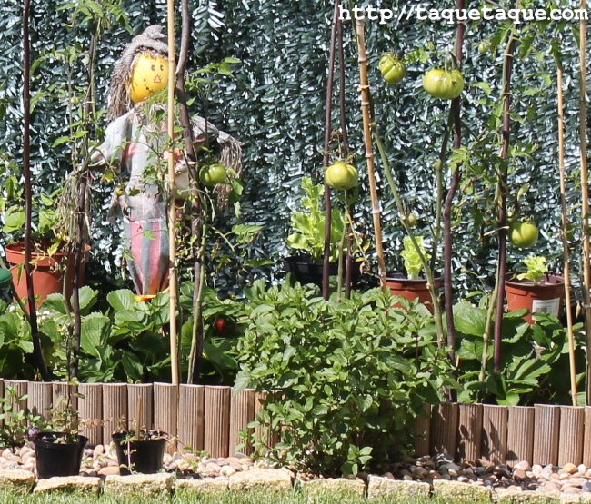 Espantapájaros de la huerta del jardín de mis cuñados en Santiago de Compostela Espantapájaros de la huerta del jardín de mis cuñados en Santiago de Compostela