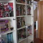 Cómo cuidar nuestras colecciones