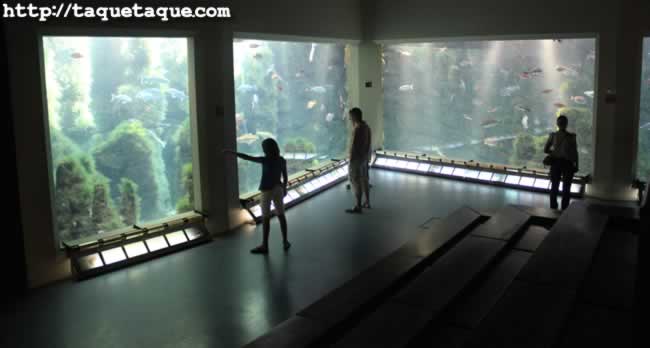 Aquarium Finisterrae, o "La Casa de los Peces", en La Coruña (28 de agosto de 2011) Aquarium Finisterrae, o "La Casa de los Peces", en La Coruña (28 de agosto de 2011)