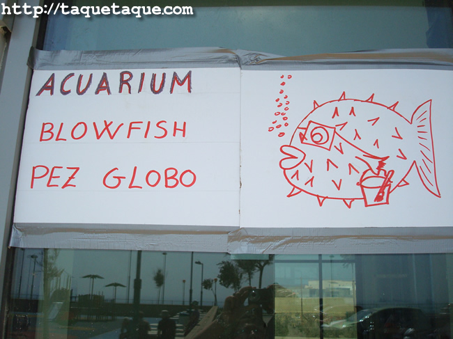 Gibraltar Aquarium - vacaciones de verano (25 de julio de 2011) Gibraltar Aquarium - vacaciones de verano (25 de julio de 2011)