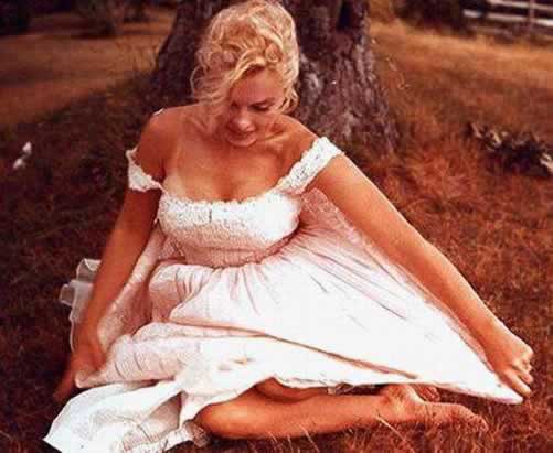 Marilyn Monroe Marilyn Monroe