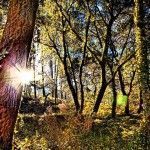 Hoxe é o noso día: Miña Terra Galega, ainda que estou lonxe, penso en ti!!!