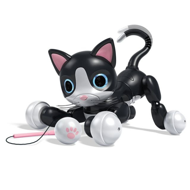 Zoomer Kitty